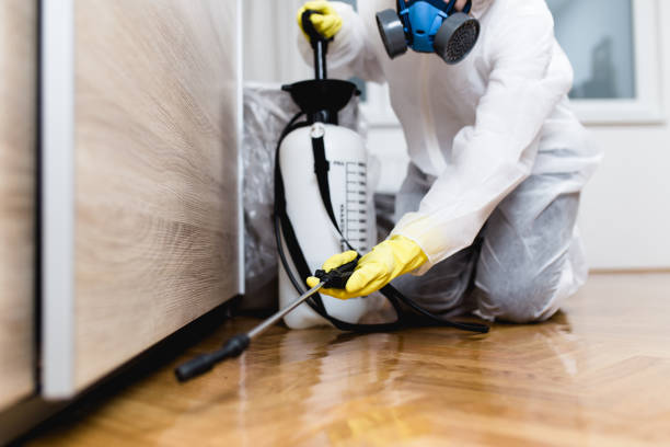 Professional Pest Control in Fayetteville, NY