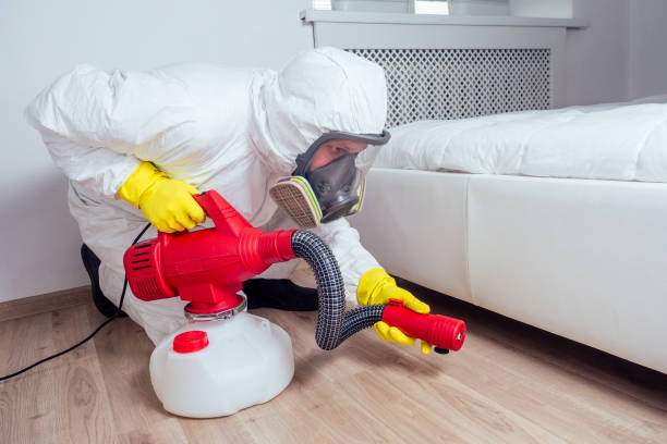Best Insect Control  in Fayetteville, NY