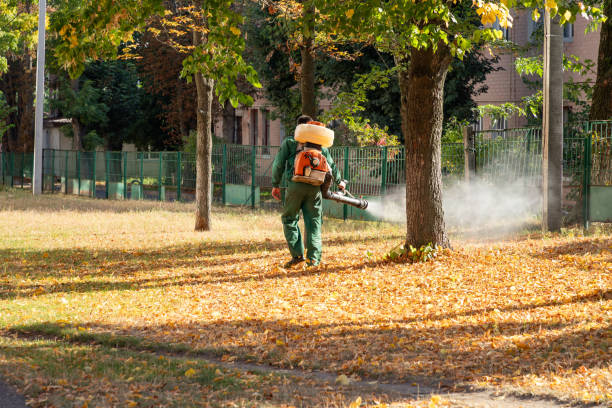 Best Best Pest Control Companies  in Fayetteville, NY