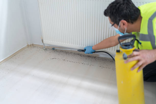 Pest Prevention Services in Fayetteville, NY